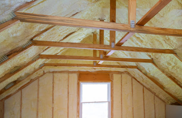 Best Insulation Maintenance and Repair in Ivanhoe, TX