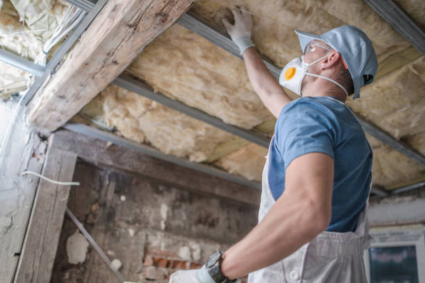 Best Insulation for Specific Applications in Ivanhoe, TX