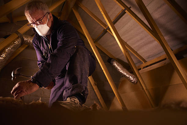 Best Residential Insulation in Ivanhoe, TX